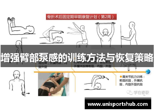 增强臂部泵感的训练方法与恢复策略