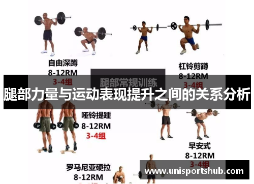 腿部力量与运动表现提升之间的关系分析